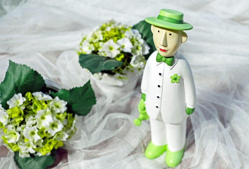 vitrine-MONTFORT SUR ARGENS-min_man-person-flower-green-toy-fig-546529-pxhere.com